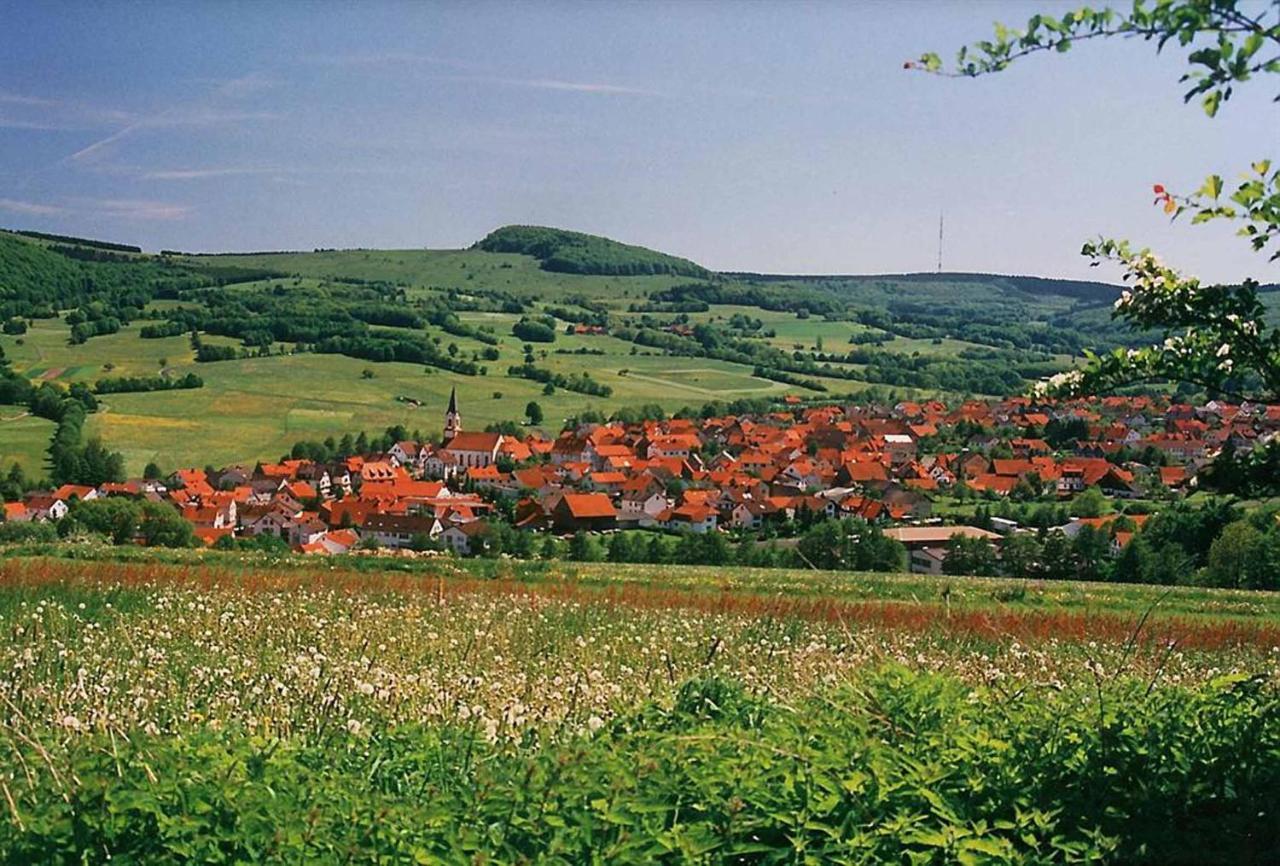 Rhoener Landhotel Haus Zur Wasserkuppe Ehrenberg (Hessen) Exterior foto